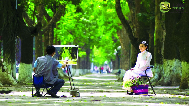 Viet Nam Tours Viet Nam Tours